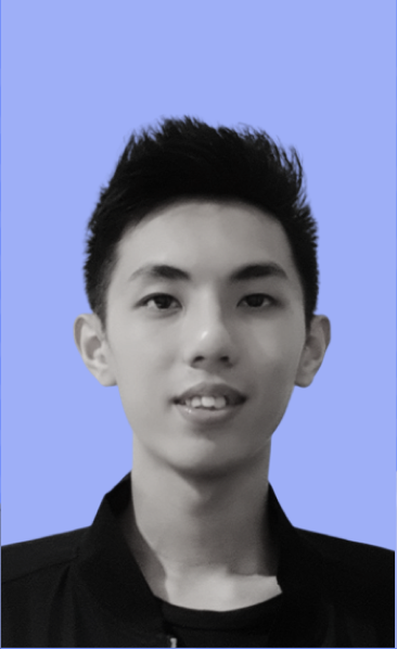 Admiral Systems team member